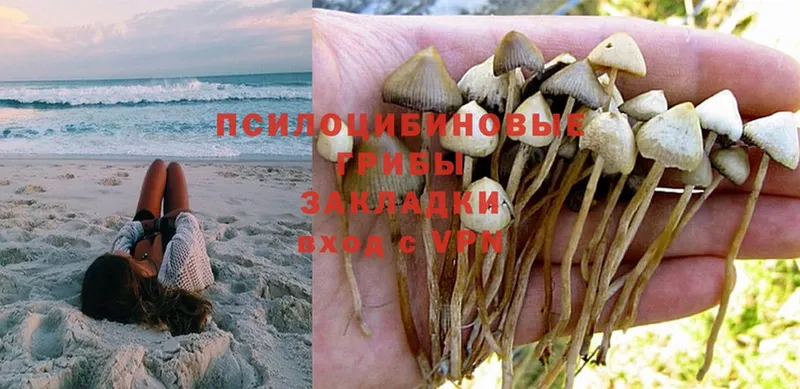 Галлюциногенные грибы Magic Shrooms  Валуйки 